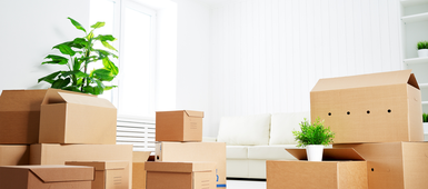 If It’s Either Cardboard or Plastic, Cardboard is Best for Self Storage and Moving