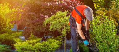 5 Smart tips on landscaping your new home