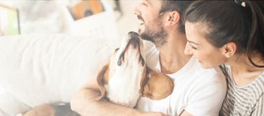 How to help your pets adjust to their new home